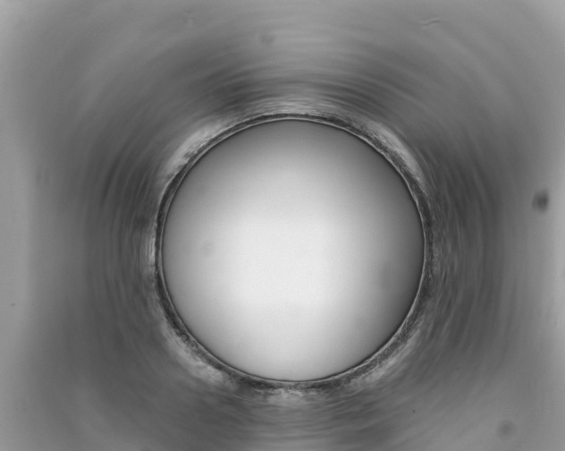 X0000091300938200708101045