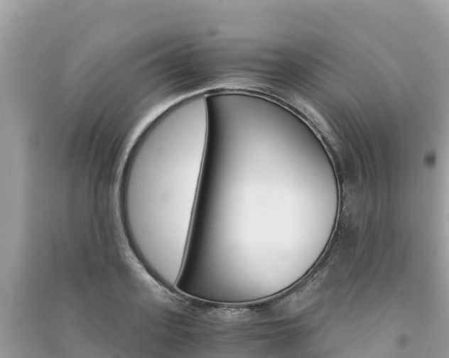 X0000091300939200708101045