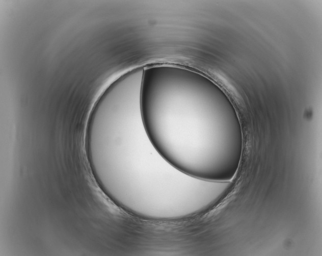 X0000091300940200708101045