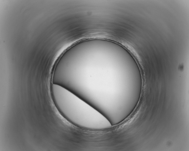 X0000091300941200708101045