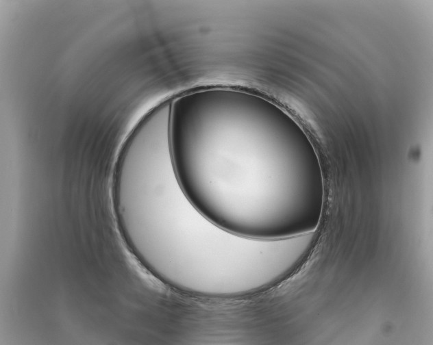 X0000091300942200708101045