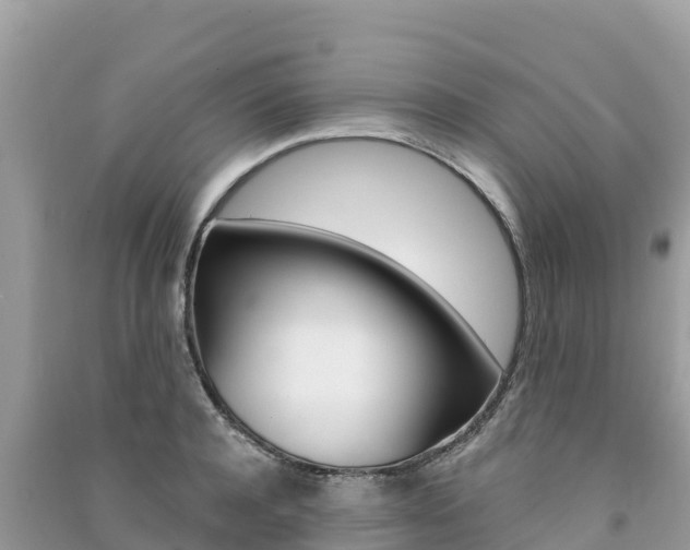 X0000091300944200708101045