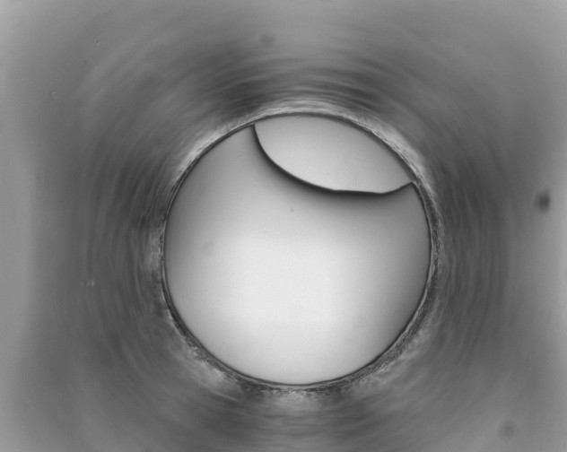 X0000091300945200708101045