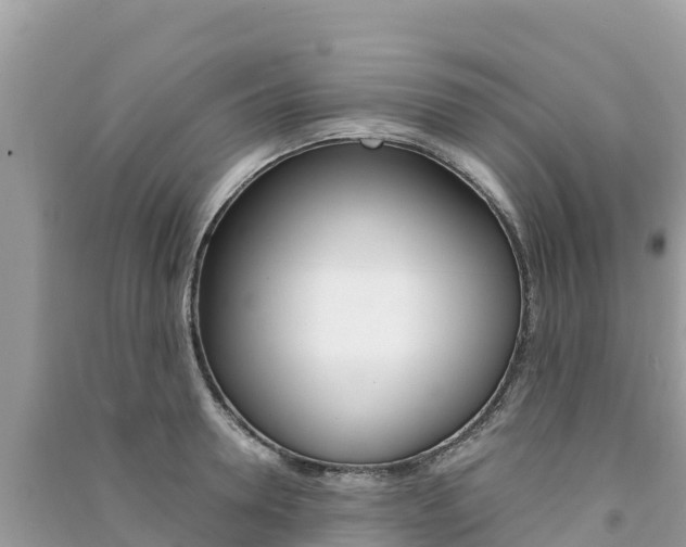 X0000091300946200708101045