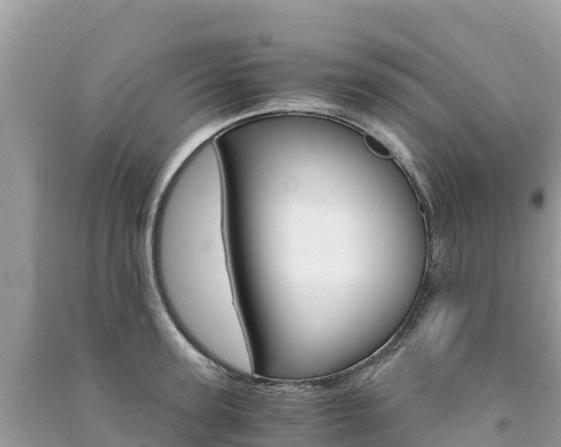 X0000091300947200708101045