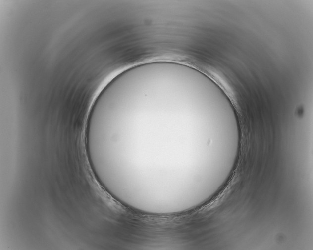 X0000091300948200708101045