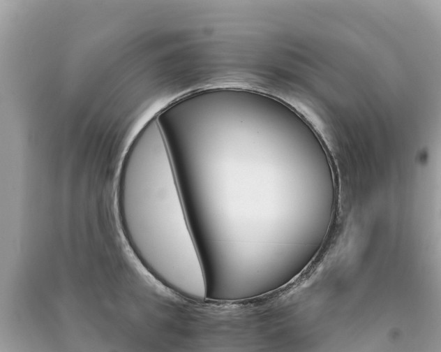 X0000091300949200708101045