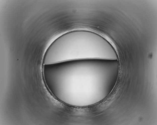 X0000091300951200708101045