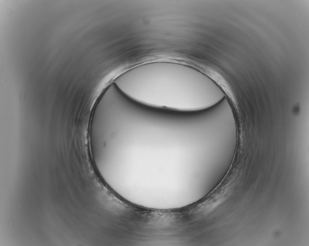 X0000091300954200708101045