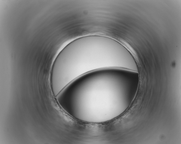 X0000091300956200708101045