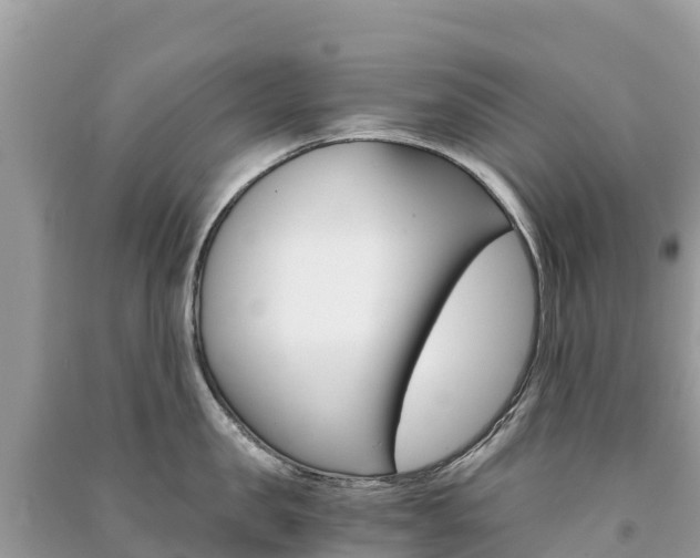 X0000091300957200708101045