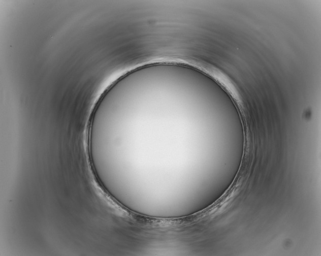 X0000091300958200708101045