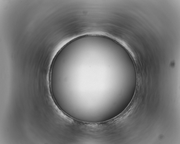X0000091300959200708101045