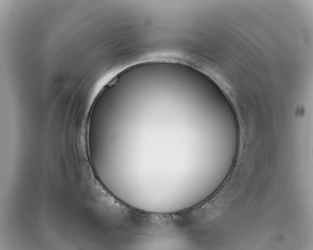X0000091300960200708101045