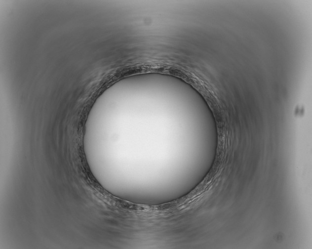 X0000091300961200708101044