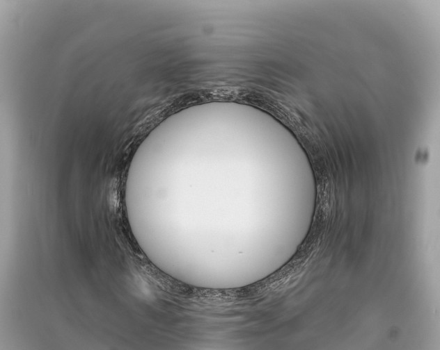 X0000091300962200708101044