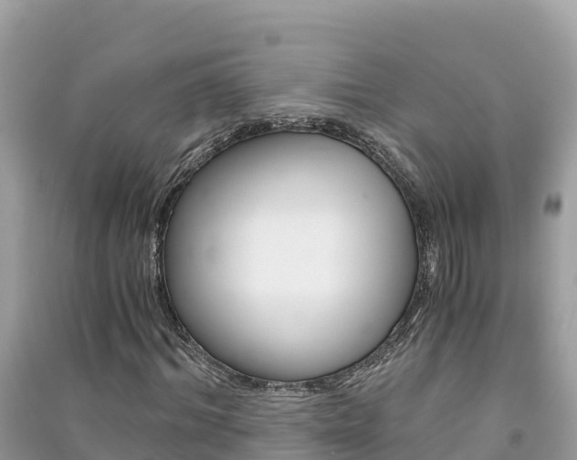 X0000091300964200708101044