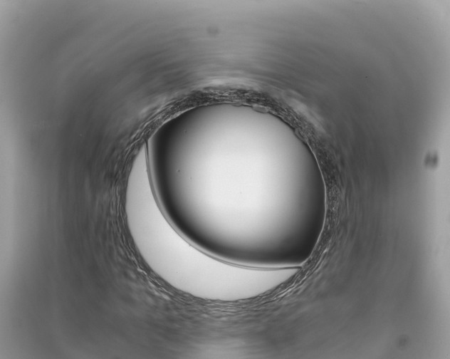 X0000091300965200708101044