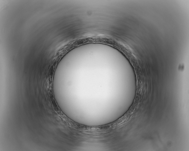 X0000091300966200708101044