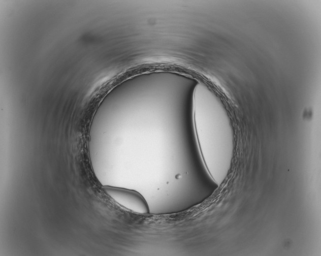 X0000091300967200708101044
