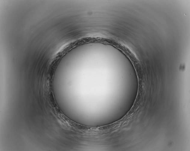 X0000091300968200708101044