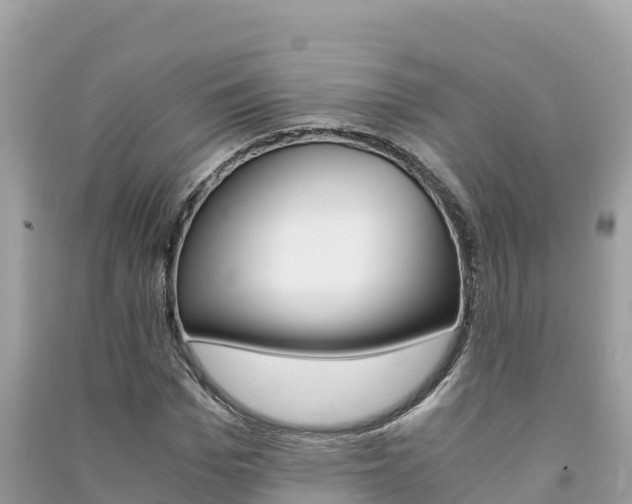 X0000091300969200708101044