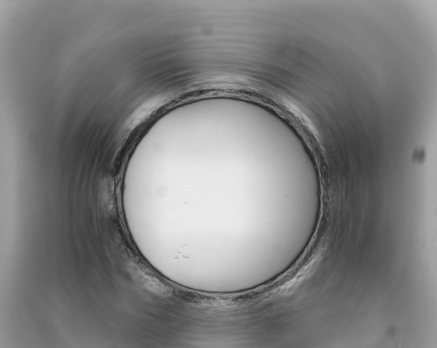 X0000091300970200708101044