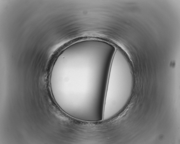 X0000091300971200708101044