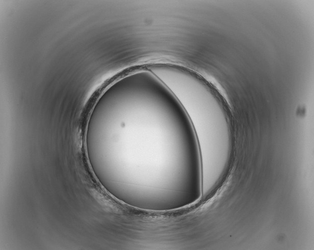 X0000091300973200708101044
