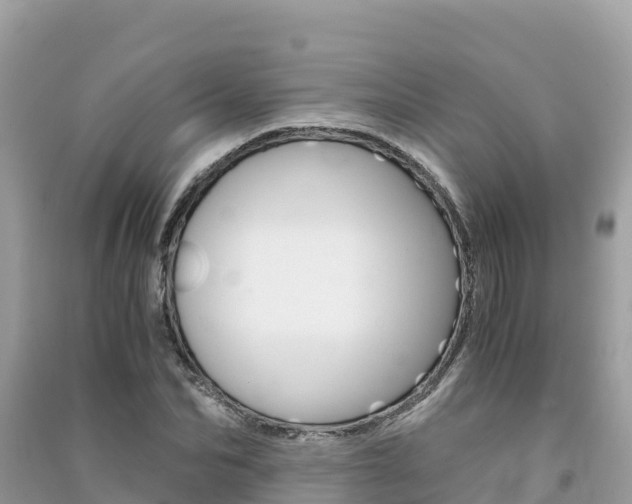 X0000091300974200708101044