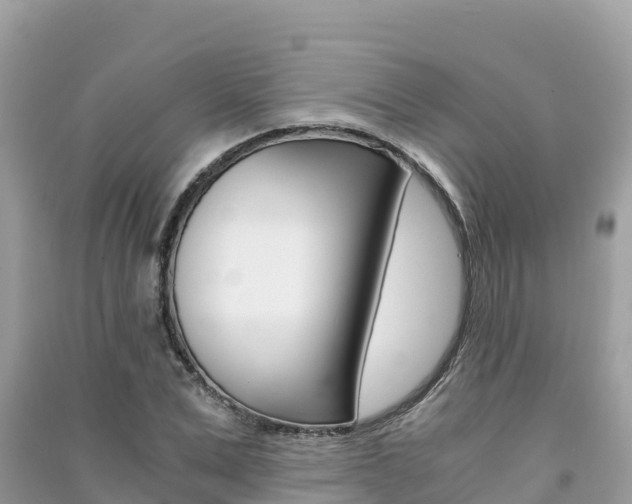 X0000091300975200708101044