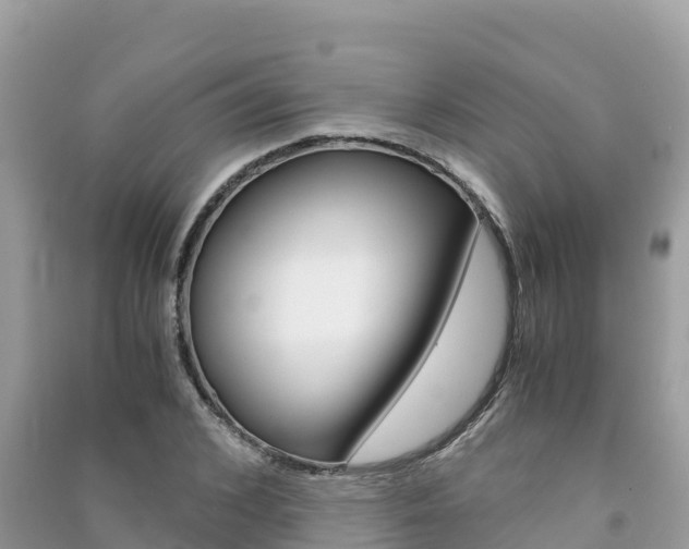 X0000091300976200708101044