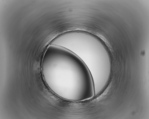 X0000091300977200708101044