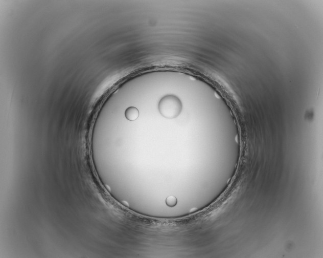 X0000091300978200708101044