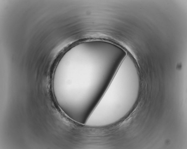 X0000091300979200708101044