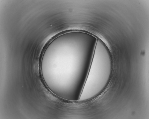 X0000091300980200708101044