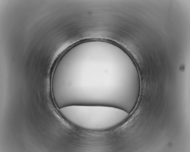 X0000091300982200708101044