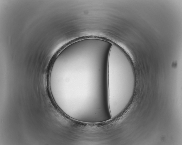 X0000091300983200708101044