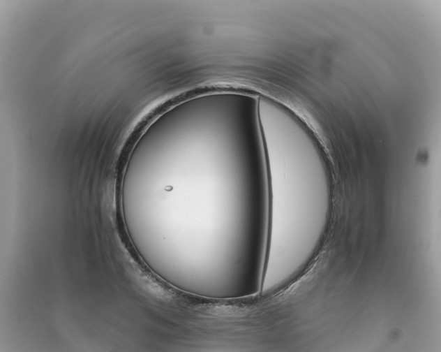 X0000091300984200708101044