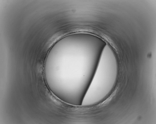 X0000091300985200708101044