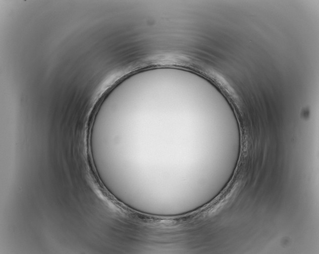 X0000091300986200708101044