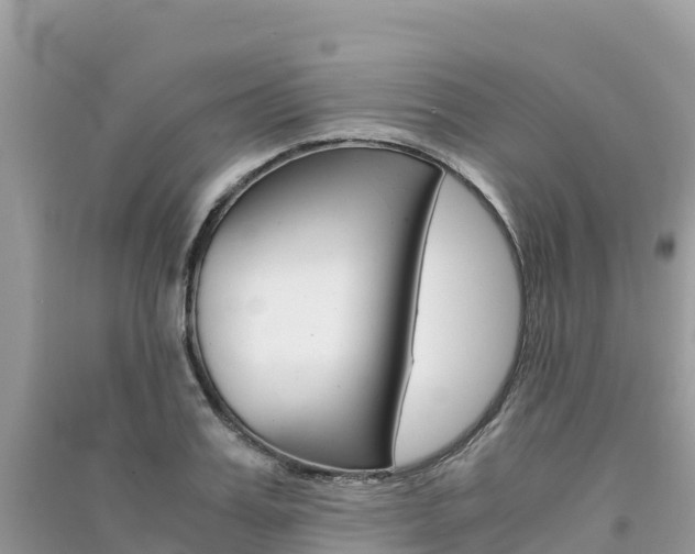 X0000091300987200708101044