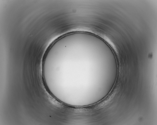 X0000091300988200708101044