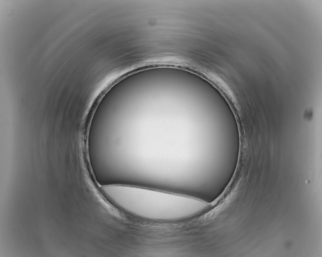X0000091300989200708101044