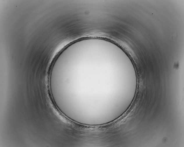 X0000091300990200708101044