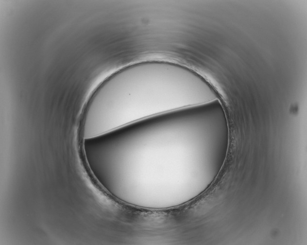 X0000091300991200708101044