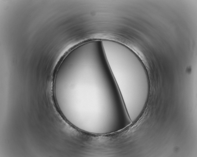 X0000091300992200708101044