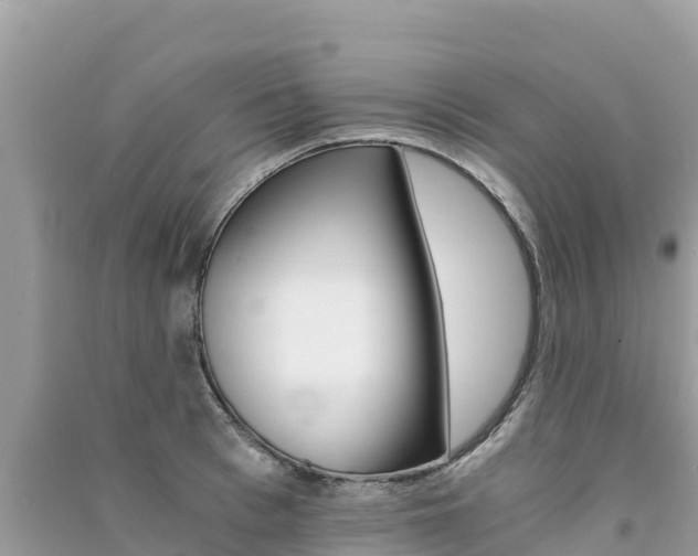 X0000091300993200708101044
