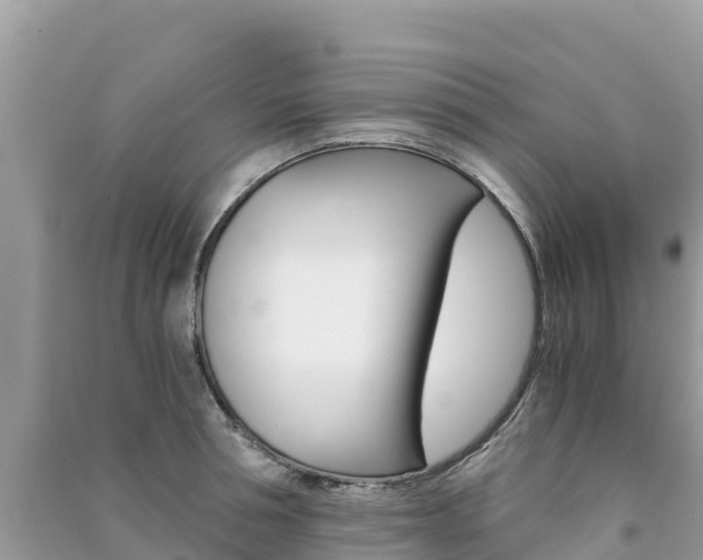 X0000091300994200708101044