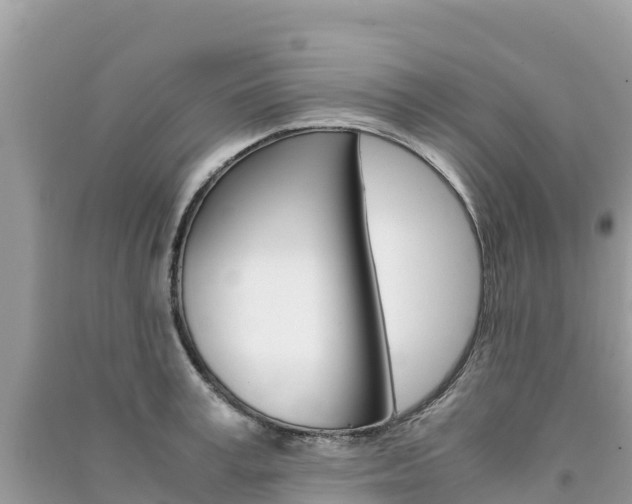 X0000091300995200708101044